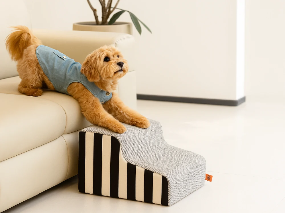 Alternatief loopplank voor honden