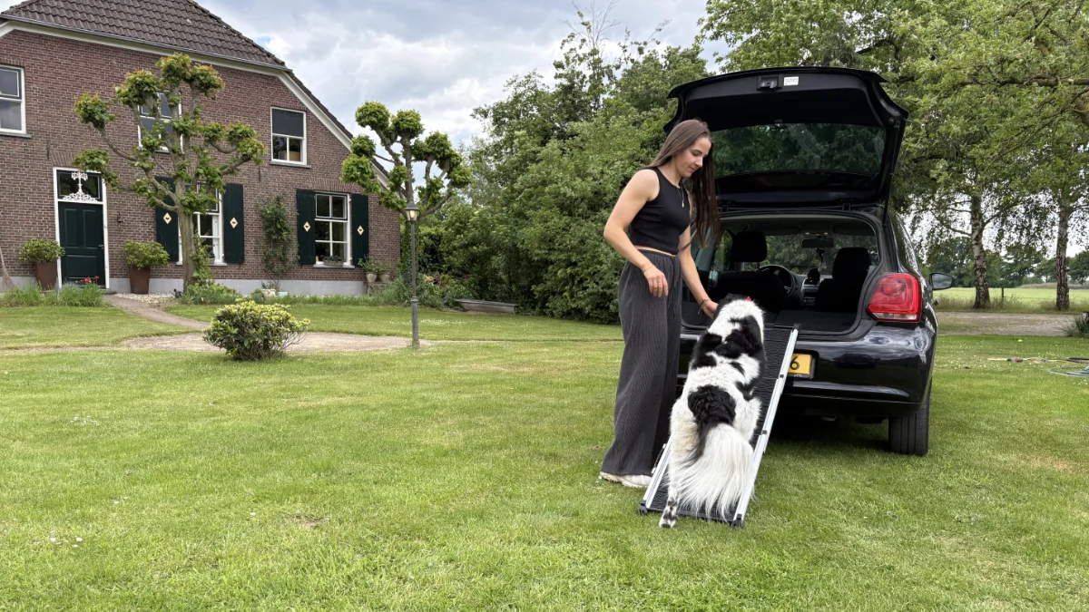 Boyco op uitschuifbare hondenloopplank