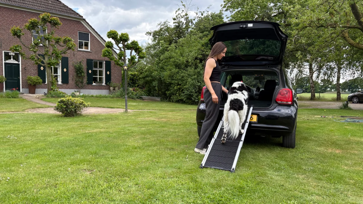 Hond op telescopische loopplank