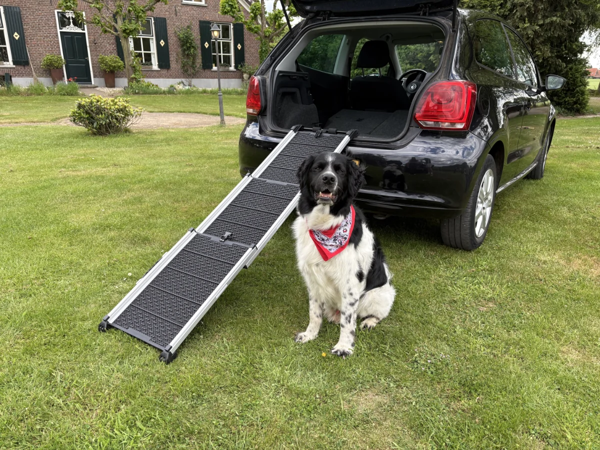 Hondenloopplank uitschuifbaar