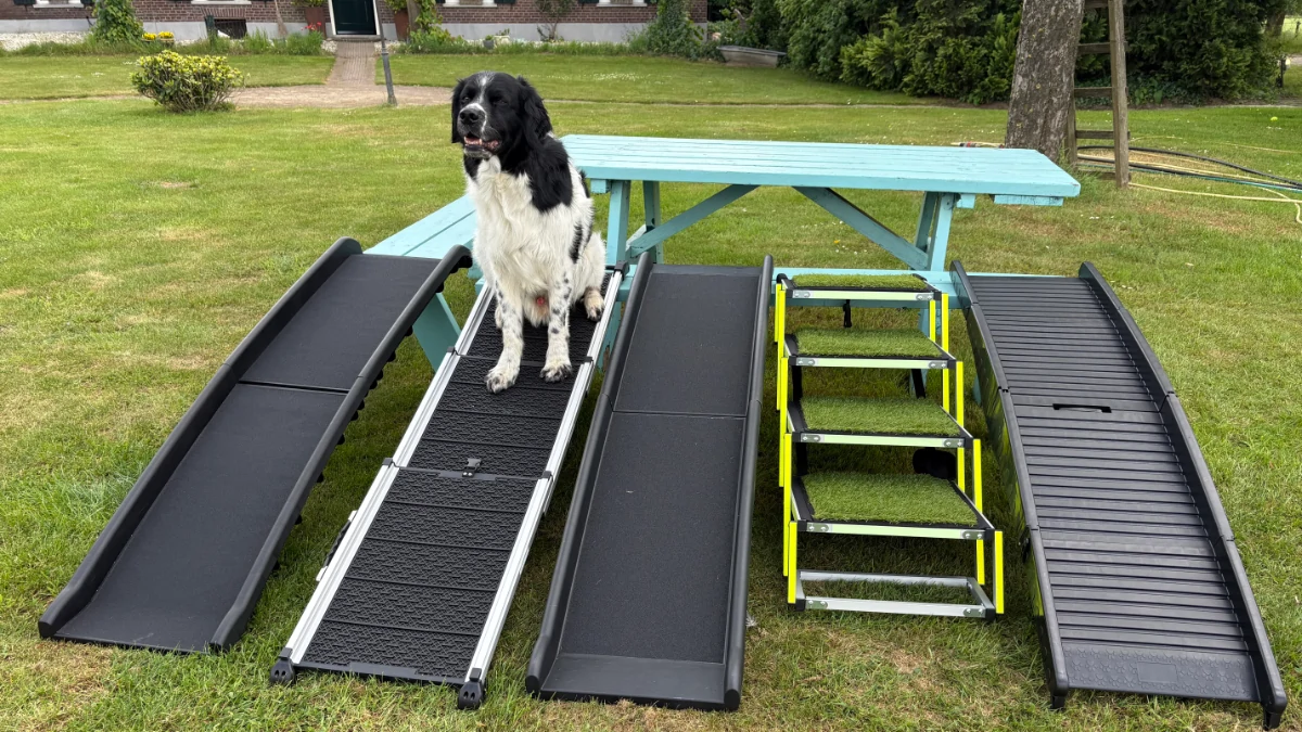 Loopplank leren gebruiken